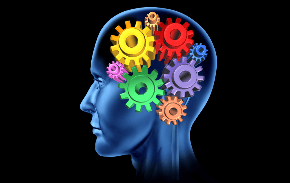 autism executive functions