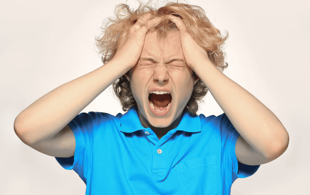 autism and anger in adolescence
